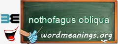 WordMeaning blackboard for nothofagus obliqua